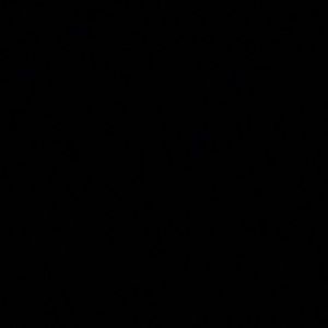 Meet your Posher, Jess